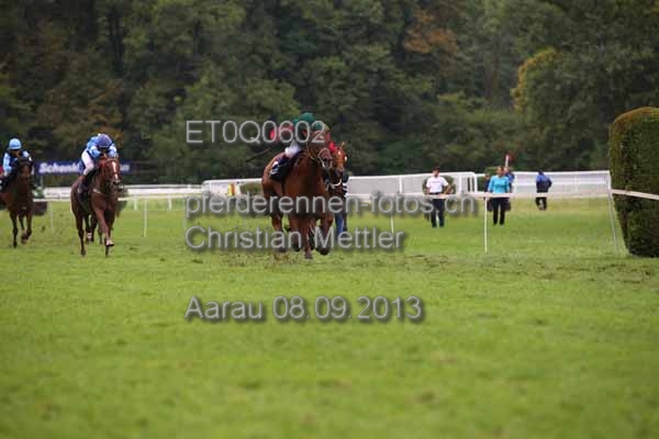 ET0Q0602 prot